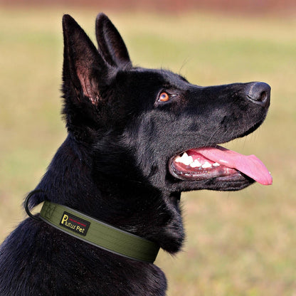 Plutus Pet Tactical Dog Collar, Reflective, Adjustable Heavy Duty Dog Collar, Soft Padded and Comfortable, for Small Medium and Large Dogs (Ranger Green, L)