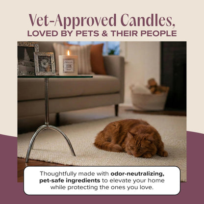 Companion Candles Sweater Weather Pet-Friendly Scented Candle – Smoked Vanilla & Cashmere Fragrance - Coconut Soy Wax Candle with Wooden Wick, Approx. 50-Hour Burn Time, Made in USA, 11.8 oz