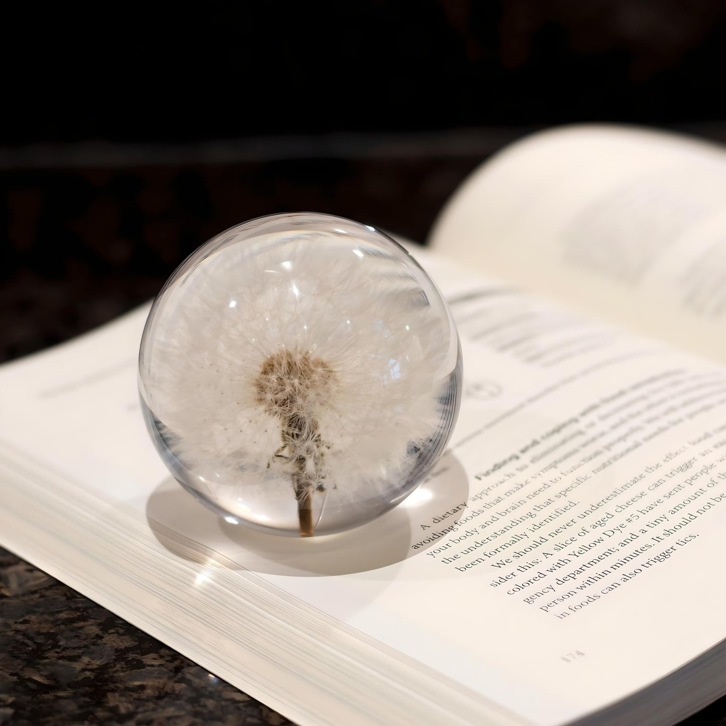 NouvoCrescent Real Dandelion Paperweight - Home Decor Crystal Resin Ball 3.14in (80mm) - Clear Resin Dandelion Flower Globe for Special Days - Sphere Figurine Office Paperweight w/Flat Bottom