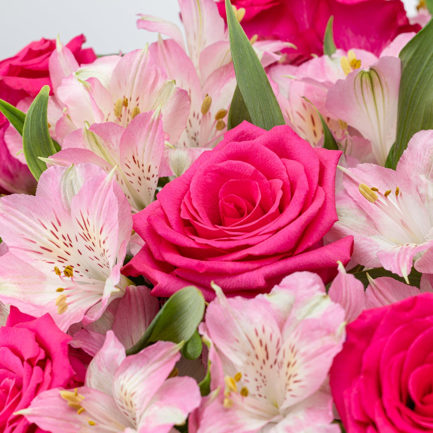 Benchmark Bouquets - Charming Roses & Alstroemeria (Glass Vase Included) - Fresh Flowers for Delivery - Gift for Graduation, Birthday, Anniversary, Sympathy, Get Well, Congratulations