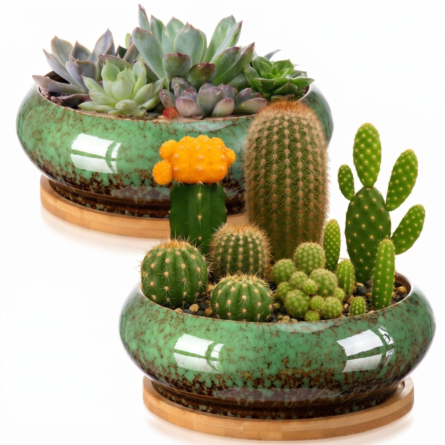 Acellegic 2 Pack 7.3 Inch Round Large Shallow Succulent Ceramic Planter Pots with Drainage Hole Drip Glazed Shallow Bonsai Pot with Bamboo Tray for Indoor Outdoor Plants Decor Cactus Flower