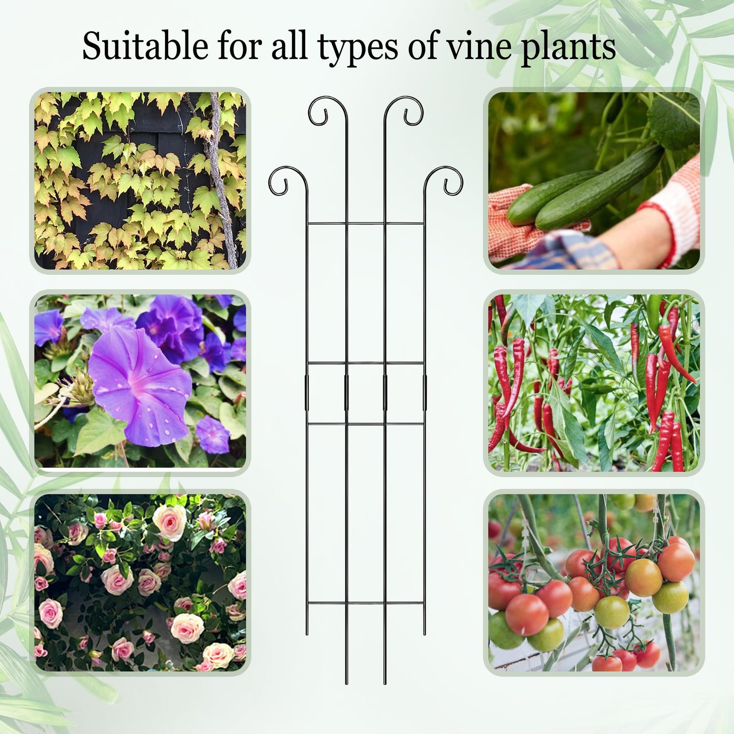 3 Set Tall Trellis for Potted Plants Indoor, 32'' Expandable Garden Metal Trellis for Climbing Plants Outdoor, Monstera Plant Support for Hoya, Vine, Ivy Pothos (Black)
