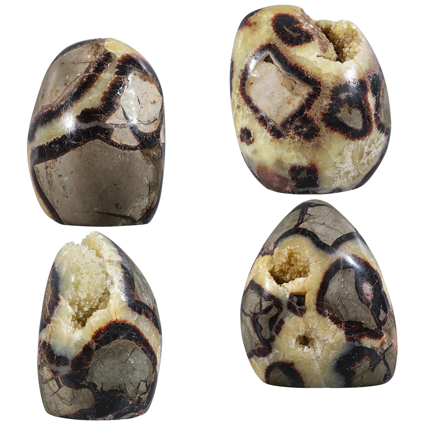 mookaitedecor Natural Septarian Dragon Crystal Cluster Geode, Self-Standing Mineral Specimen Stone Collection for Home Office Decoration, 0.66-0.88 LB