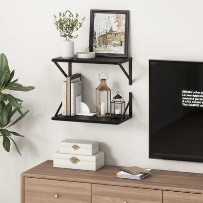 Fun Memories 10 Inch Deep Floating Shelves, Black Floating Shelf 16 Inch Long, 16" W x 10" D Wall Shelves Set of 2, Deep Shelves for Books, Wide Floating Shelves for Bahtoom, Living Room, Kitchen