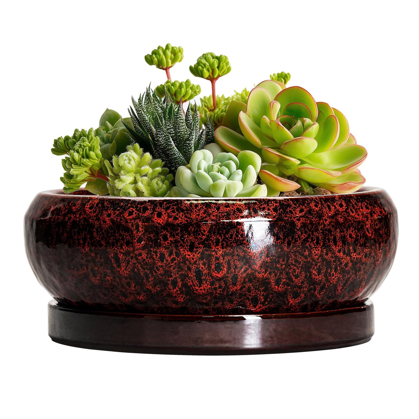 EPFamily Succulent Planters 6 Inch - Ceramic Bonsai Pots with Drainage Hole and Saucer, Small Bonsai Planter, Round Planter Bowl, Shallow Plant Pots Indoor, Room Decor, Gifts for Plant Lovers, Red
