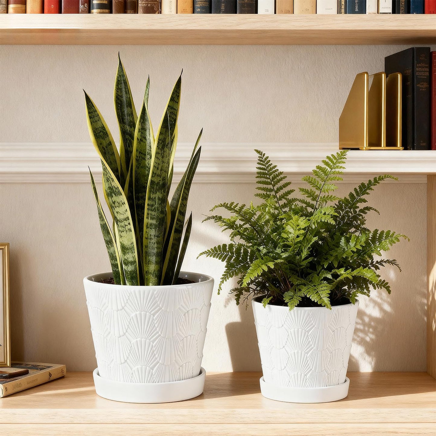 COLOAPT Ceramic Planter,5+6 Inch Ceramic Flower Pots with Drainage Hole&Tray,Embossed Seashell Design Plant pots,Planters for Indoor Plants Succulent Cactus,Flower Pot Home Decor-Set of 2,White