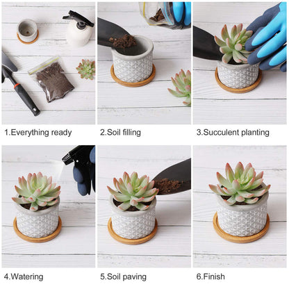 T4U 6CM Cement Succulent Pots with Bamboo Tray 3-Set, Concrete Cactus Pots Small Cacti Planter Grey Gardening Plant Pot Container for Home and Office Decoration Birthday Wedding