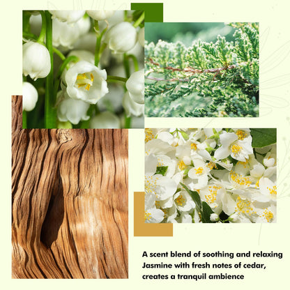 Reed Diffusers Set, 3.7 Oz Scent Diffuser, 6 Reed Diffuser Sticks, Home Fragrance Hyacinth, Peony & Citrus, Aromatherapy Oil Diffuser Reeds, More Masculine Scent, Bathroom & Office Decor 110ml