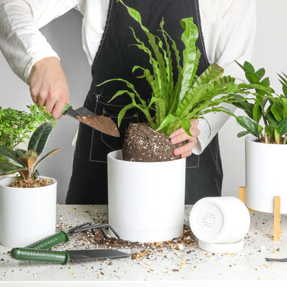 T4U 10/12.5/15/17.5 cm Plastic Flower Pot with Multiple Drainage Holes, Set of 4 Planters, Herb Pot with Saucer, Round Plant Pot for Indoor and Balcony Succulent Cactus, White