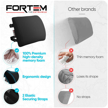 FORTEM Lumbar Support Cushion, Back Support for Office Chair and Car Seat, Back Rest for Gaming, Memory Foam Pillow, Desk Chair Cushion, Breathable & Washable Cover, Adjustable Straps