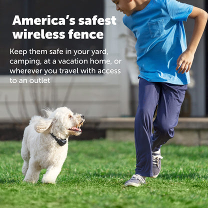 PetSafe Stay & Play Wireless Pet Fence with Replaceable Battery Collar – for Dogs & Cats Over 5 lb – Waterproof Receiver Collar Tone & Static Correction – from Parent Company of Invisible Fence Brand