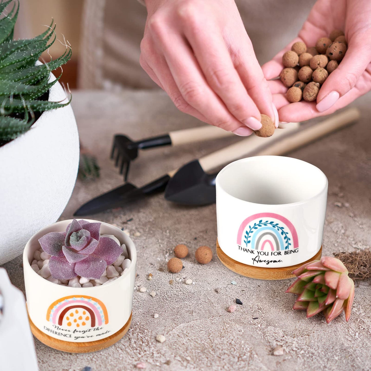 Sieral 6 Pcs Thank You Employee Appreciation Gift Succulent Pots Social Worker Gift Ceramic Plant Pot with Bamboo Tray Succulent Planter for Coworker Teacher, Plants Excluded (Boho Style)