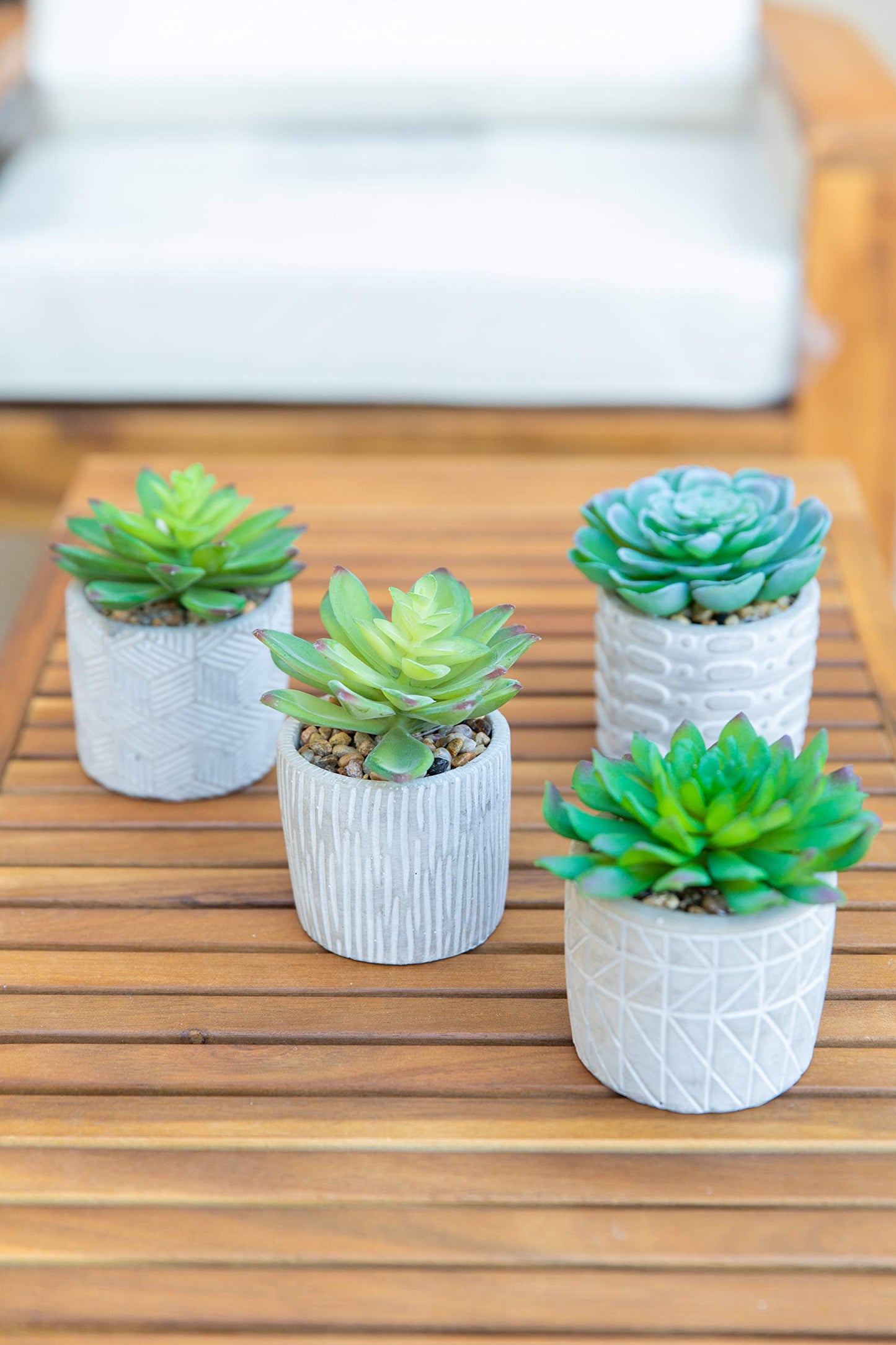 Flora Bunda Mid Century Artificial Plants Cactus Set of 2 Artificial Succulent in 3" Cement Pot Grey Planter, 2 Fake Potted Plants, for Home Office Decorations