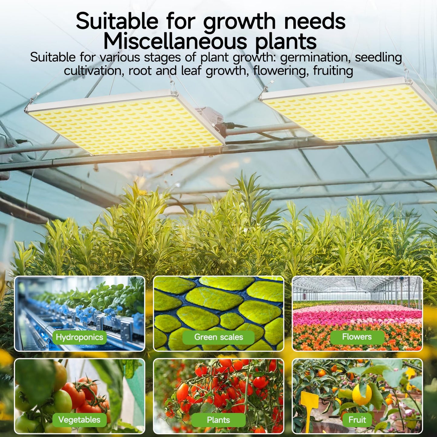 LED Grow Light for Indoor Plants Full Spectrum Plant Light for Seedling, Hydroponic, Greenhouse, Succulents, Flower