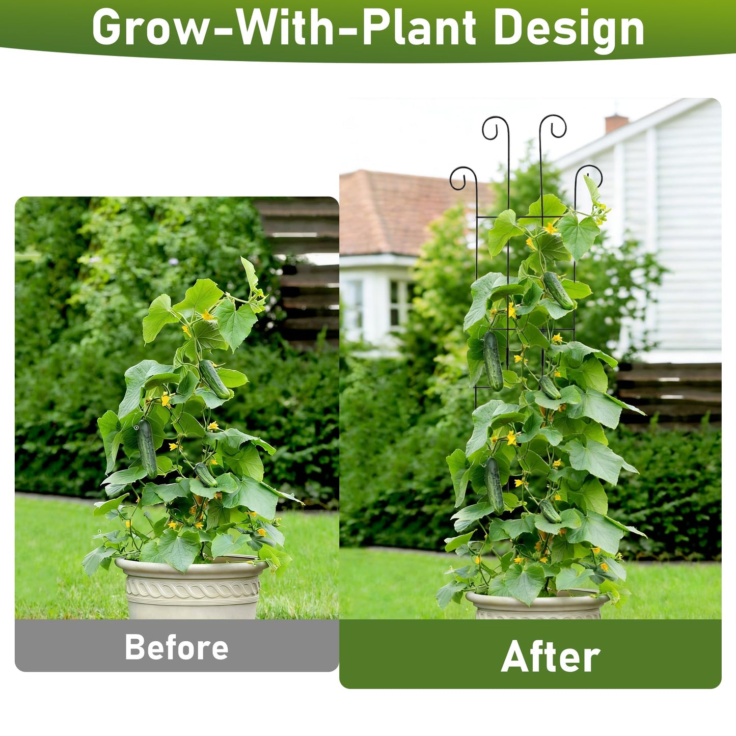 32.6In Metal Plant Trellis for Climbing Plants Indoor, Monstera & Pothos Support Stakes, Tall Expandable Trellis for Potted Plants, Tool-Free Structures, 2 Pack