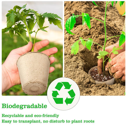 KINGLAKE Biodegradable Small Plant Pots Fibre Seedling Pots, 6cm 100Pcs Compostable Flower Seed Pots for Planting Vegetables, Fruits, Herbs with 100 Plant Labels