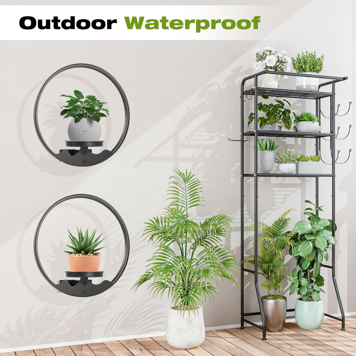 Aunulahca Round Picture Frame Wall Plant Holder Black Wall Hanging Planters Metal Window Plants Shelf Plant for Indoor Outdoor Garden Rockery Decoration 2 Pack