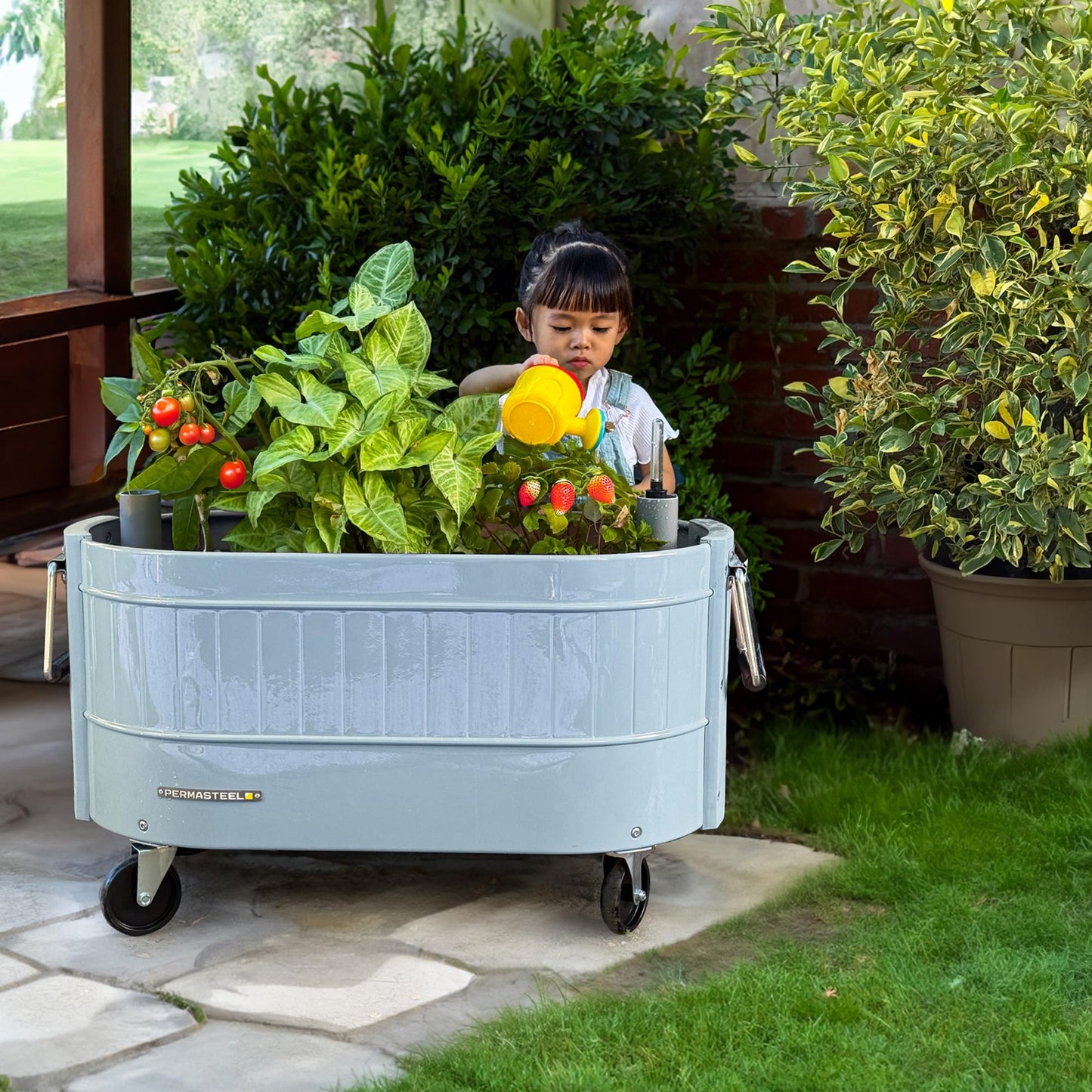 Permasteel Self-Watering Garden Bed, Rolling Planter for Vegetables, Flowers, Herbs, and Fruit, Outdoor Indoor, Caster Wheels, Blue