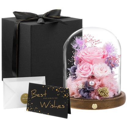 Large Preserved Flowers with Card&Box-Flowers for Delivery Prime,Eternal Rose with Lights,Roses in Glass Dome,Romantic Gift for Her,Decoration,Fresh Rose Flowers for Mom, Birthday, Anniversary (Pink)