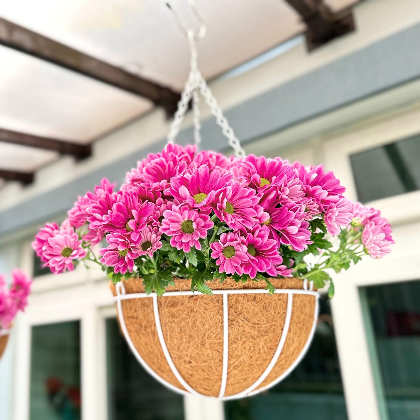LaLaGreen Hanging Baskets Outdoor (4 Pack, 14 Inch) Extra Large White Hanging Planter with Coco Liner Round Flower Pot, Black Metal Wire Plant Holder Hook Deck Porch Farmhouse Garden Balcony Decor