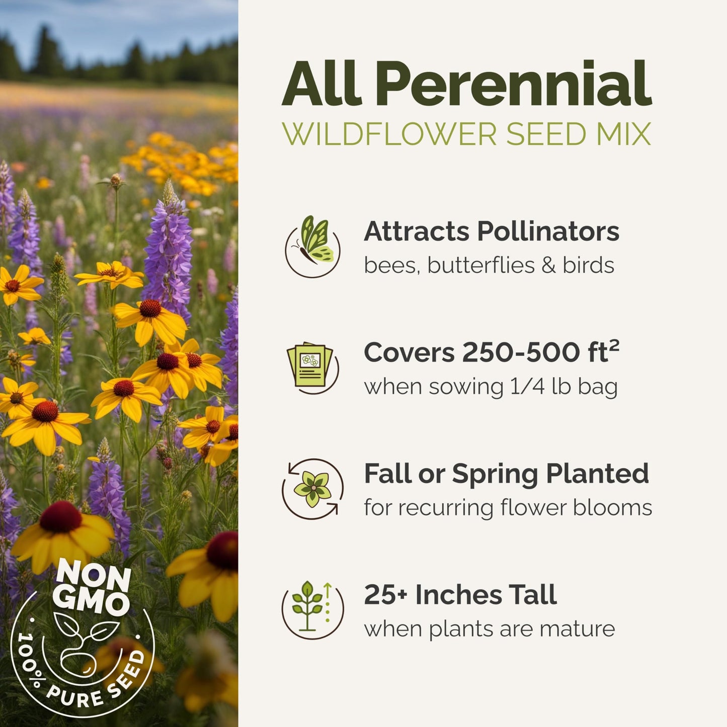 Eden Brothers All Perennial Wildflower Mixed Seeds for Planting, 1/4 lb, 120,000+ Seeds with Lupine, Shasta Daisy | Attracts Pollinators, Plant in Spring or Fall, Zones 3, 4, 5, 6, 7, 8, 9, 10