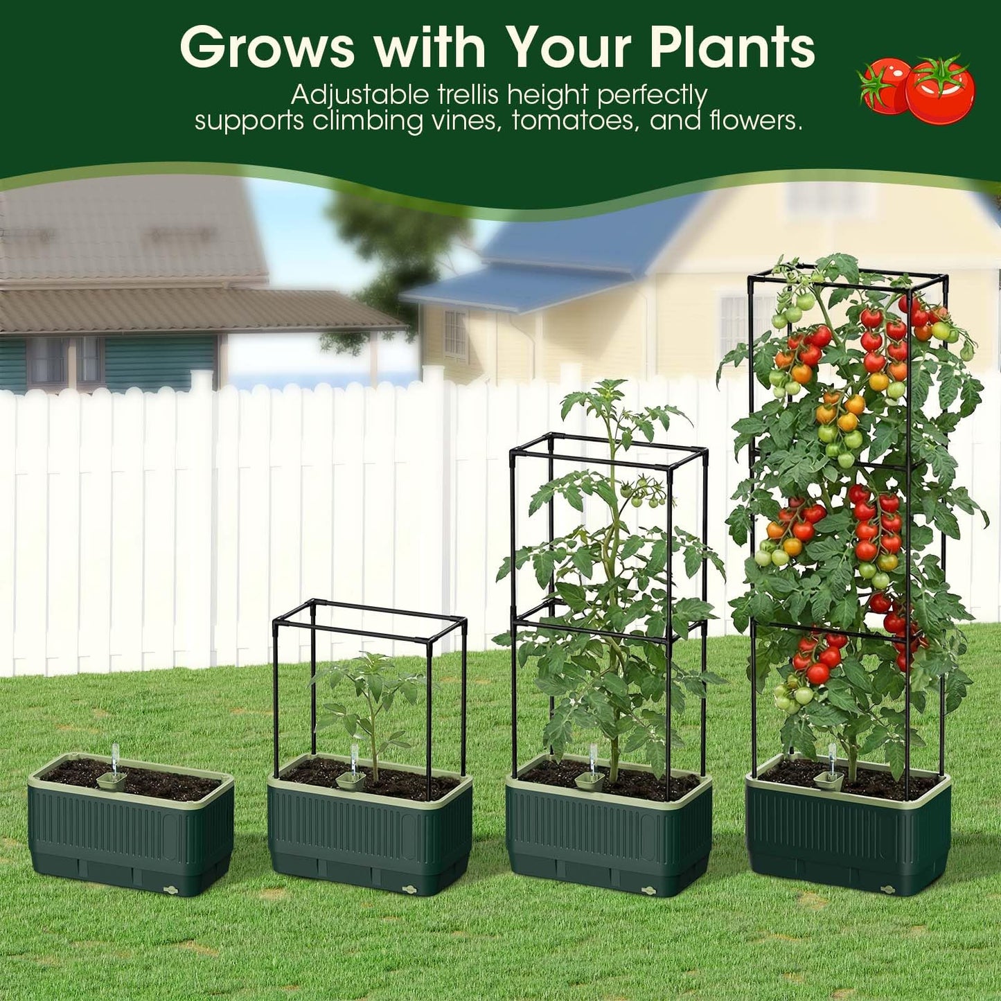 MQHUAYU 2 Pack 51" Self Watering Planter Box with Trellis, Tomato Planter Trellis for Raised Garden Bed, Tomato Cage with Visual Water Indicator, Indoor Outdoor Tomato Cages for Garden Patio
