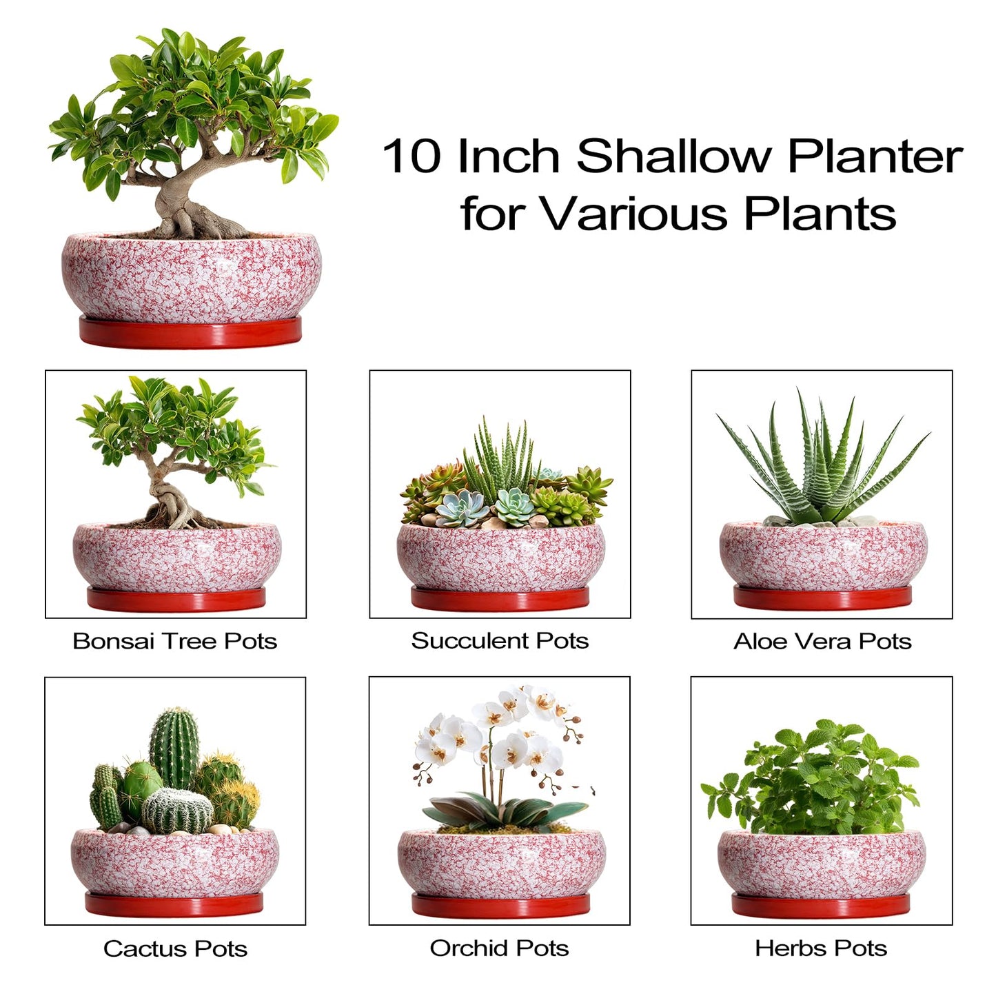 EPFamily Bonsai Pots 10 Inch - Ceramic Succulent Planters for Indoor Plants Outdoor, Succulent Pots with Drainage Hole and Tray, Round Shallow Planter, Bonsai Planter, Home Decor, Gardening Gift, Red