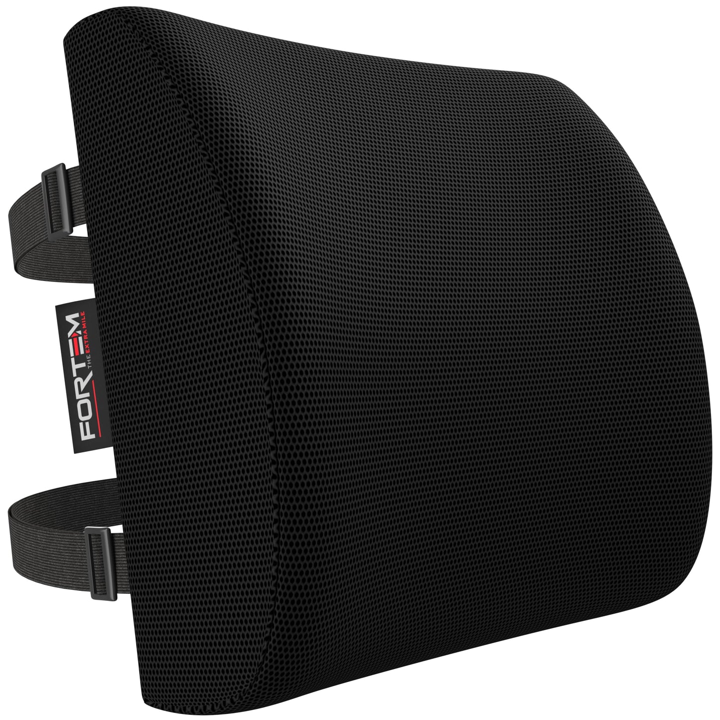 FORTEM Lumbar Support Cushion, Back Support for Office Chair and Car Seat, Back Rest for Gaming, Memory Foam Pillow, Desk Chair Cushion, Breathable & Washable Cover, Adjustable Straps
