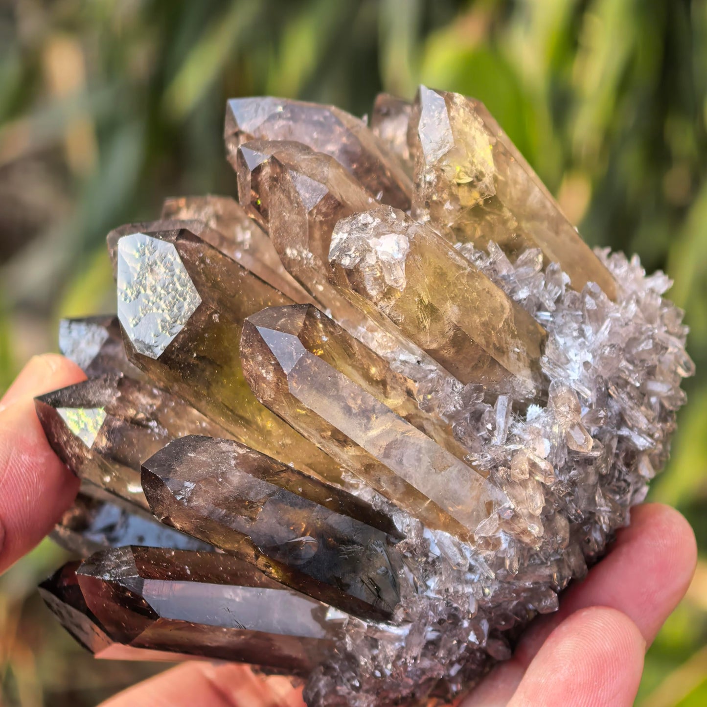NsmjodStone Crystal Cluster Reiki Healing Stone Natural Quartz Point Mineral Crystal Specimen Home Decor Gift (About 220g Smoky Quartz)