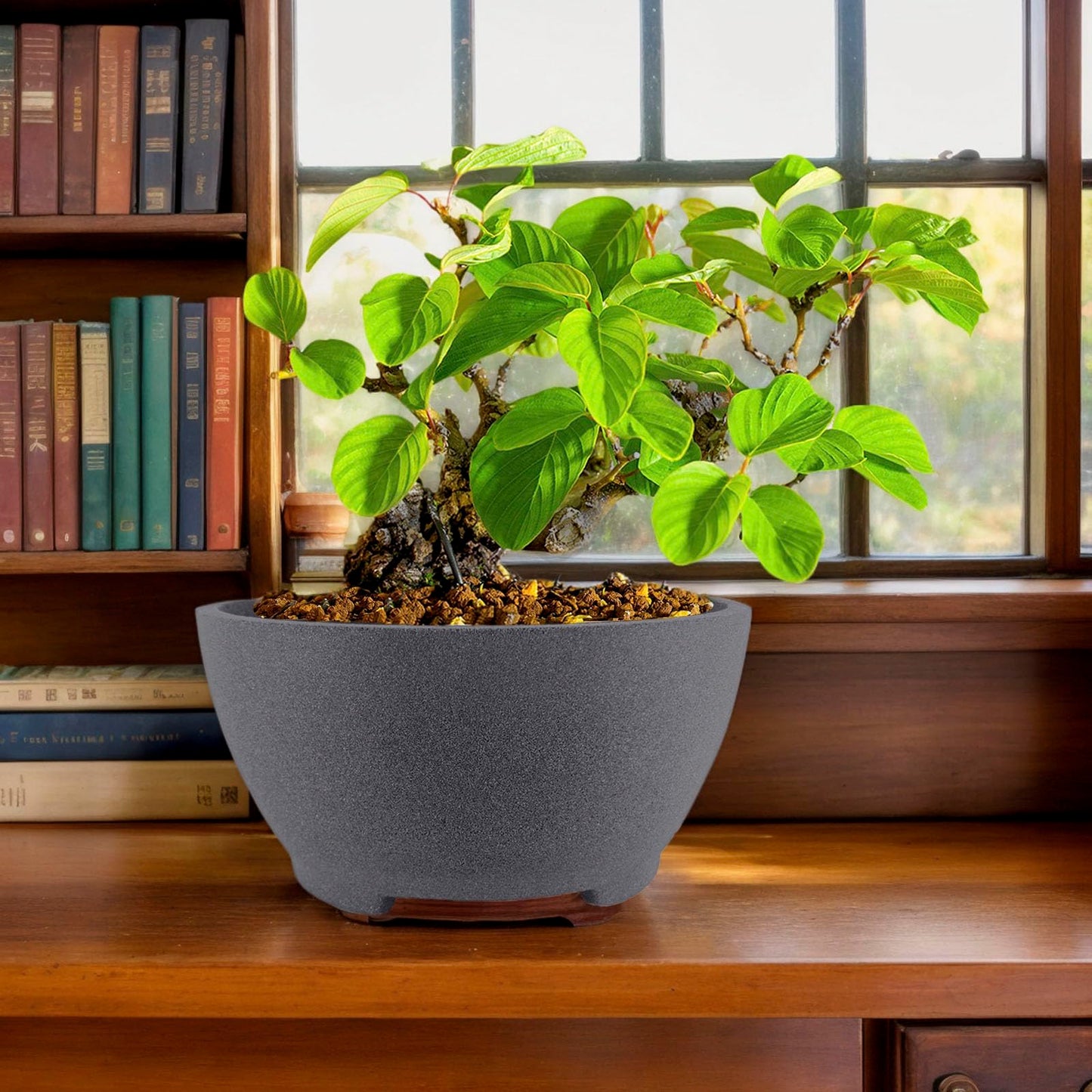 TINYVISTA 8.26” Gray Ceramic Bonsai Pot with Drainage Holes - Large Unglazed Clay Planter for Ficus Trees, Succulents & Indoor Plants, 4" Deep Round