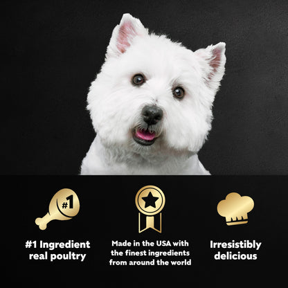 Cesar Wet Dog Food Classic Loaf in Sauce Poultry Variety Pack, 3.5 oz. Easy Peel Trays (24 Count, Pack of 1)