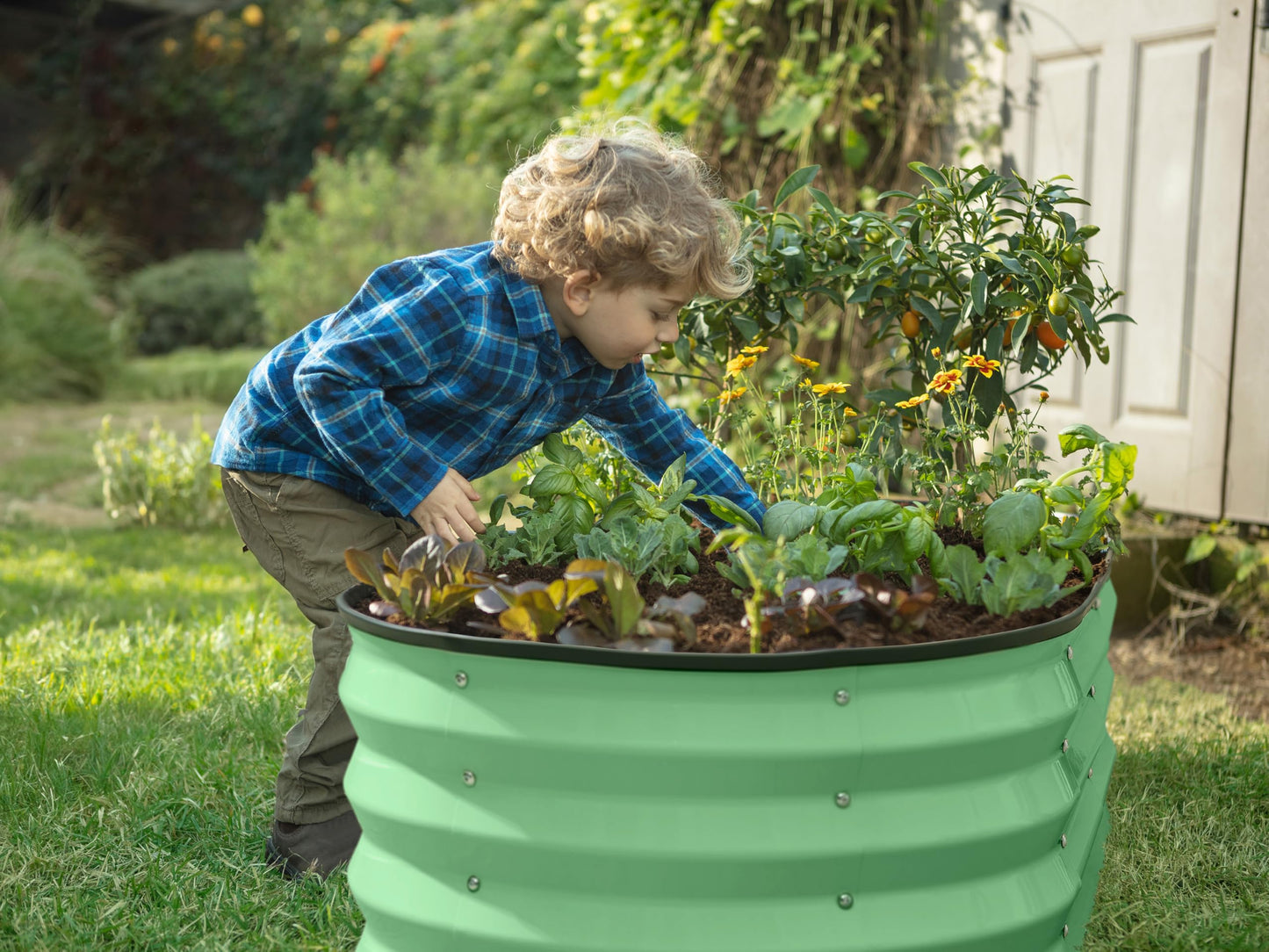 Plant & Plot Galvanized Raised Garden Beds Outdoor // 4×2×1 ft Planter Raised Beds for Gardening, Vegetables, Flowers (Light Green) // Large Metal Garden Box