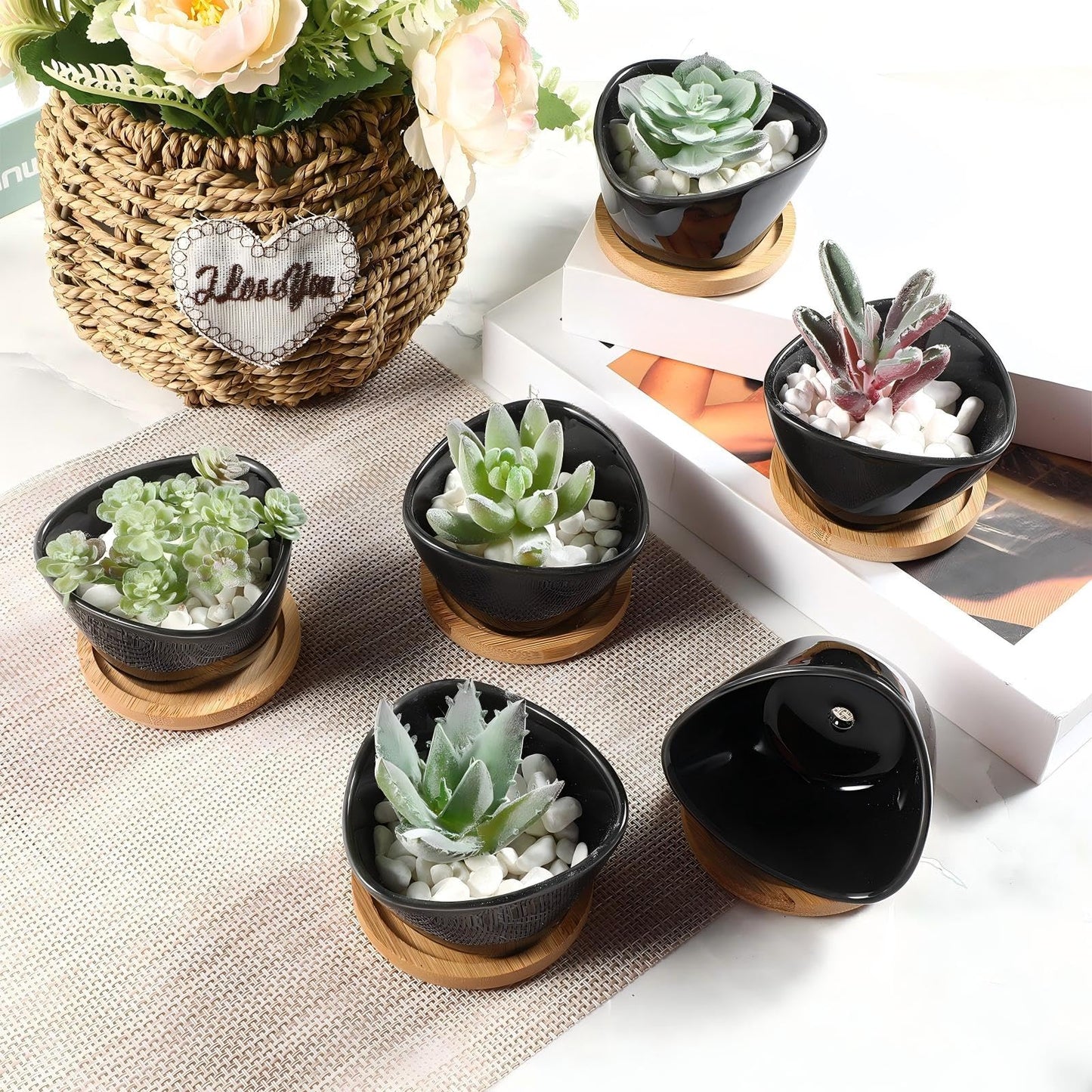 Domensi 24 Pack Succulent Planter Pots 3 Inch Small Plant Pots Mini Ceramic Succulent Planter Holder with Drainage Holes and Bamboo Saucers(Black)