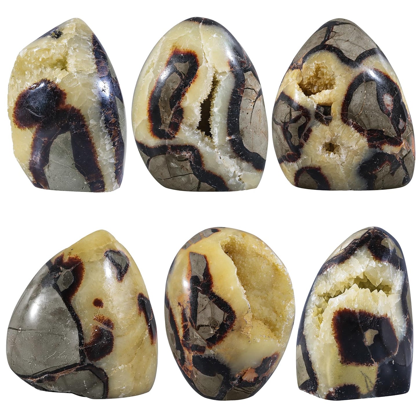 Sportmusies Natural Septarian Dragon Stone Geode Mineral Specimen Decoration for Reiki Home Office Desk, 3.07-4.52 Inches