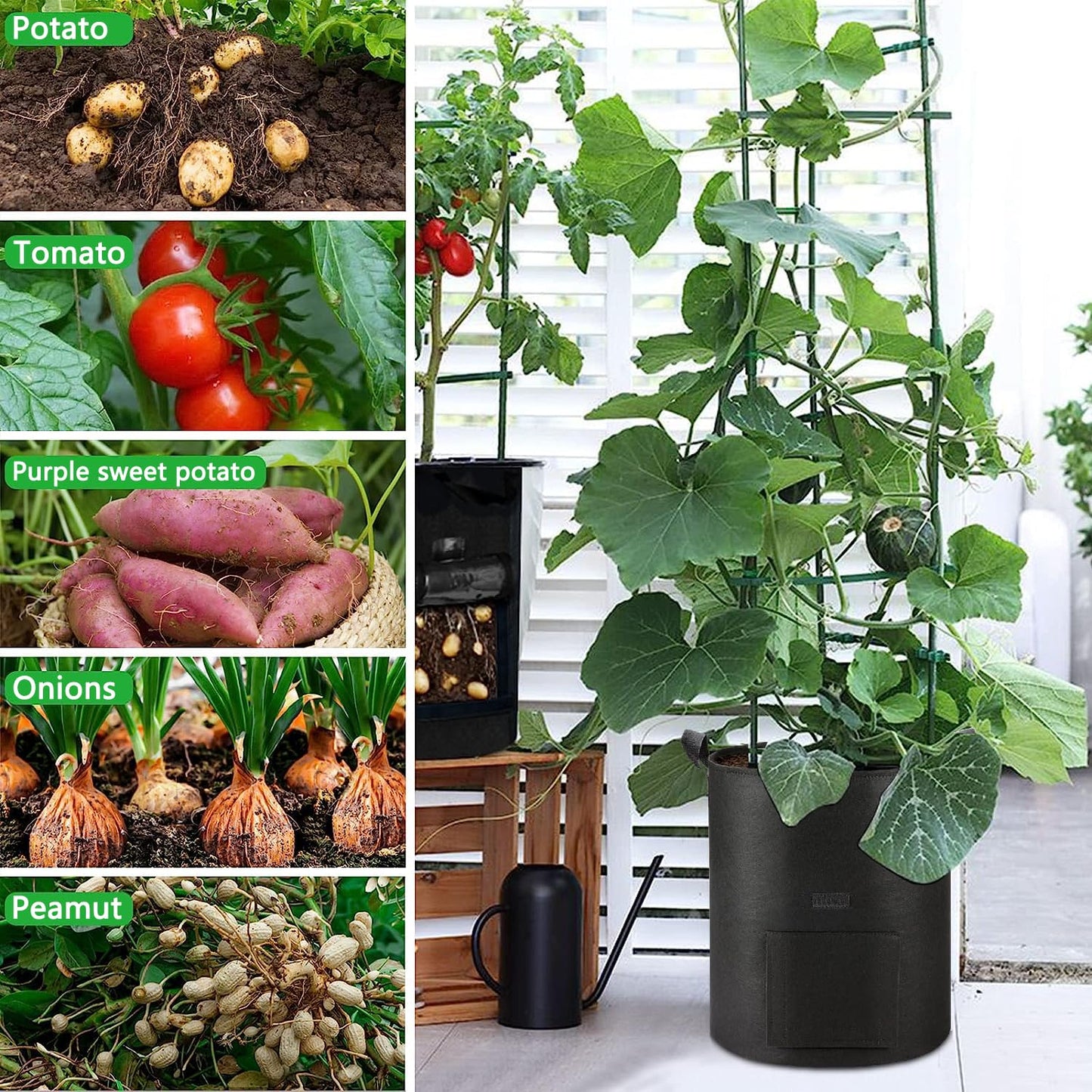AGOPLEE 6-Pack 10 Gallon Potato Grow Bags Heavy Duty Thickened Nonwoven Fabric Pots with Handles,Black