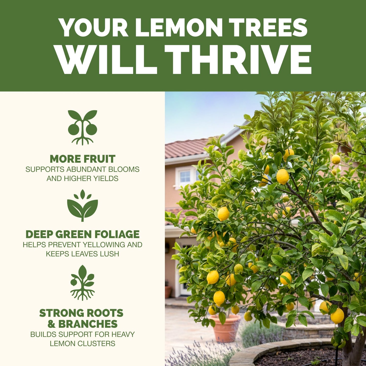 Lemon Tree Fertilizer – Liquid Plant Food for More Fruit, Better Flowering & Stronger Root Development, 8 oz