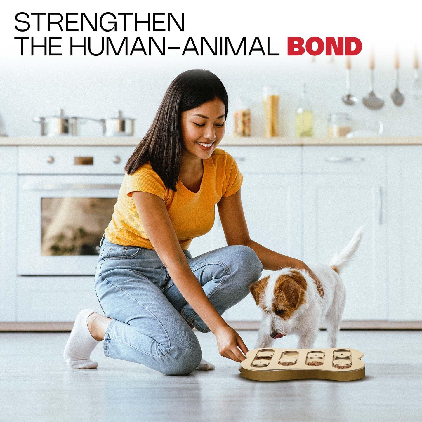 SPOT Ethical Pet Interactive Seek-A-Treat Shuffle Bone Toy Puzzle That Will Improve Your Dog's IQ, Specially Designed for Training Treats