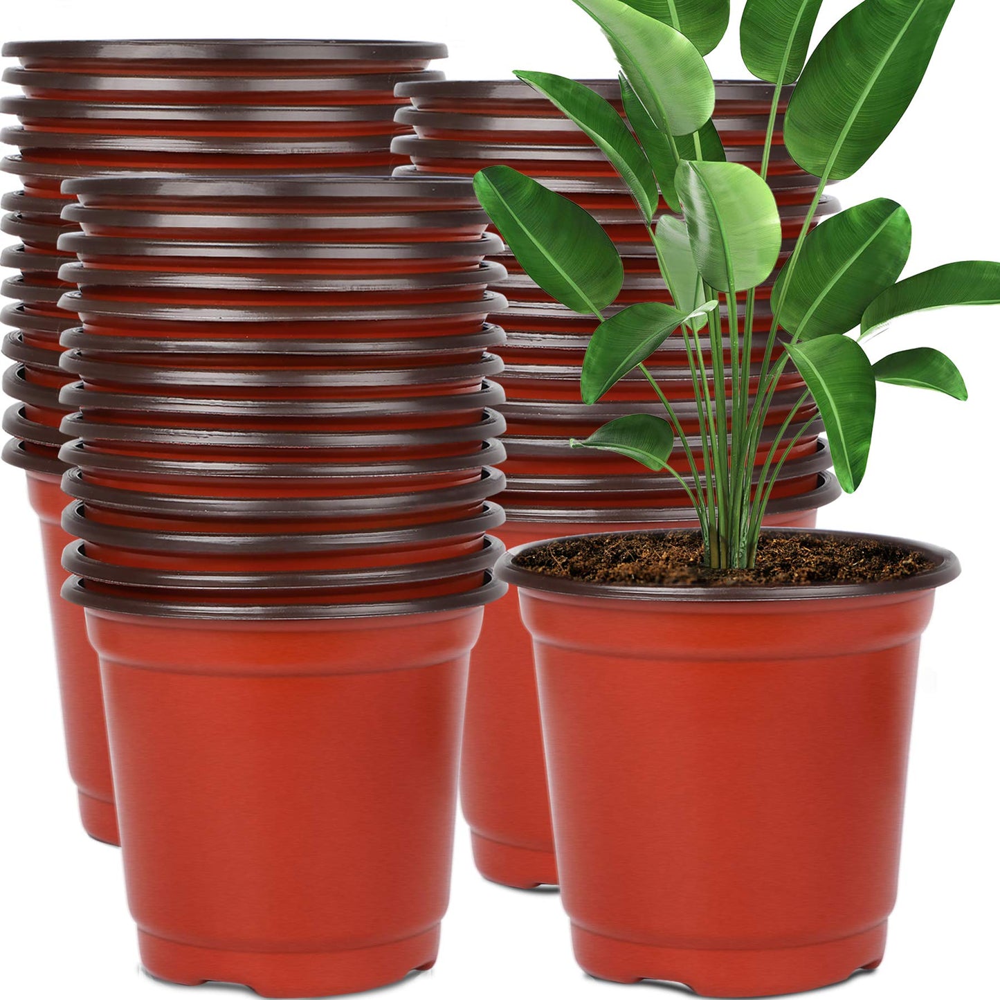 Augshy 130 Packs 6 Inches Plastic Plant Nursery Pots, Seed Starting Pot Flower Container for Succulents, Seedlings, Cuttings, Transplanting, Planter Home Docer