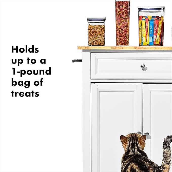 OXO Good Grips Pet POP – 1.1 Qt/1 L | Ideal
