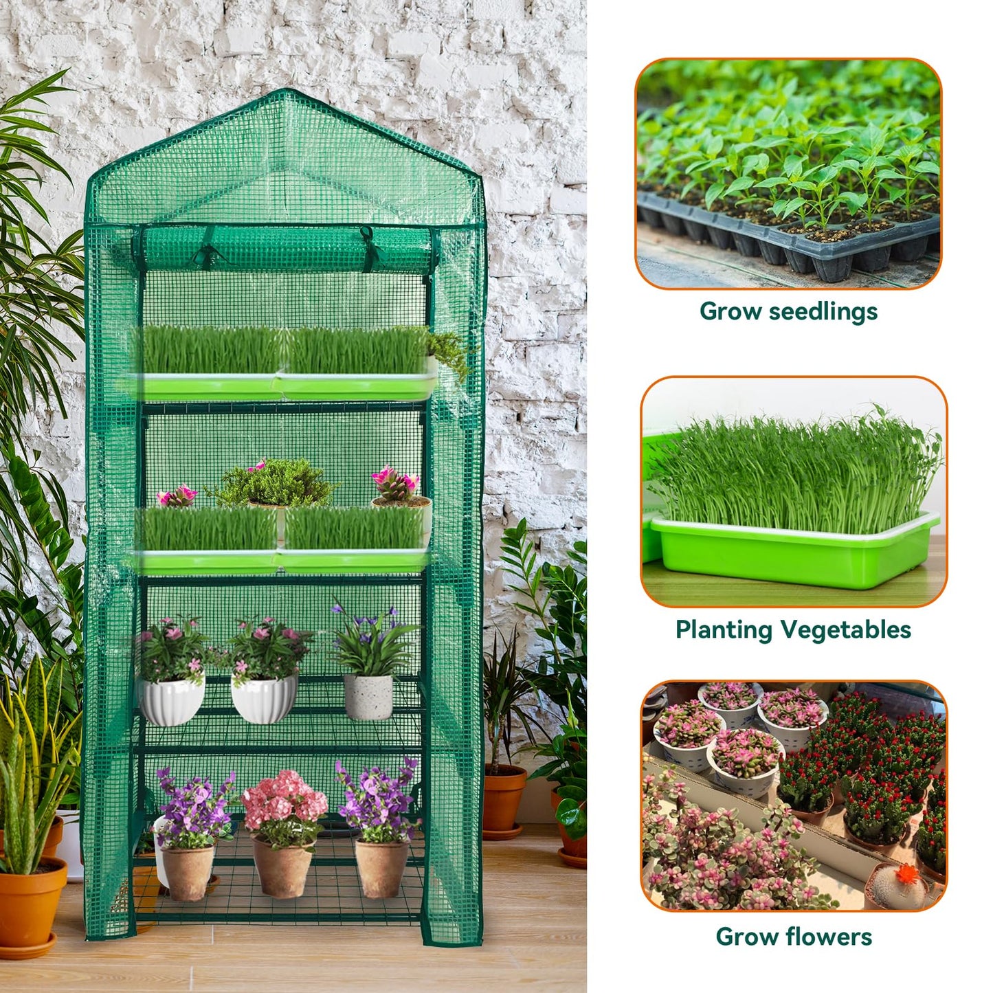 Mini Greenhouse for Outdoor Indoor,4 Tier Small Portable Green Houses with Improved PE Cover,Roll-up Zipper Warm House,Grow House for Seedling and Plant Growing (64x27x20inch),Green