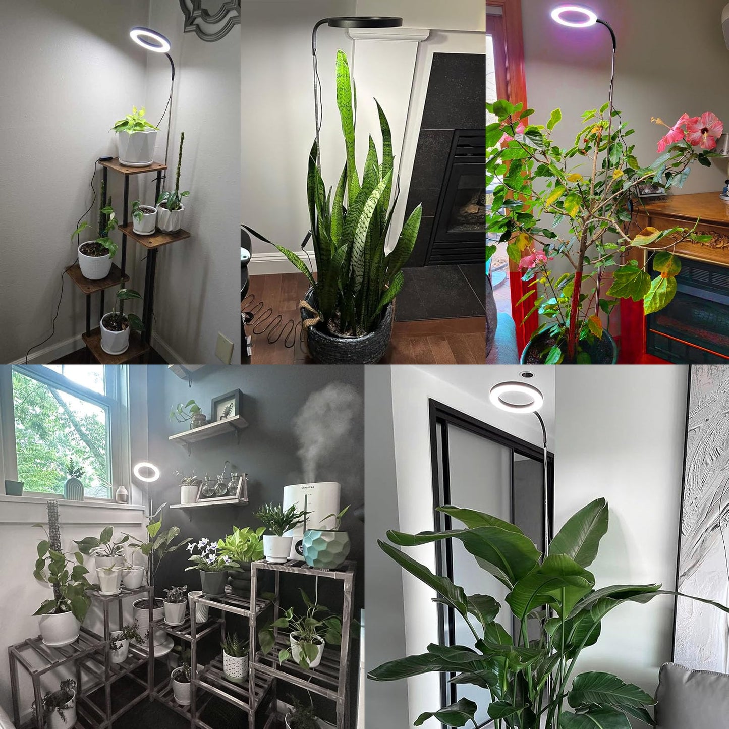 YZIXNUY Grow Lights for Indoor Plants, Full Spectrum Plant Lights for Indoor Growing with 3/9/12H Auto Timer, 3 Spectrum Modes, 10-Level Dimmable, 68" Height Adjustable for Growing Large Tall Plants