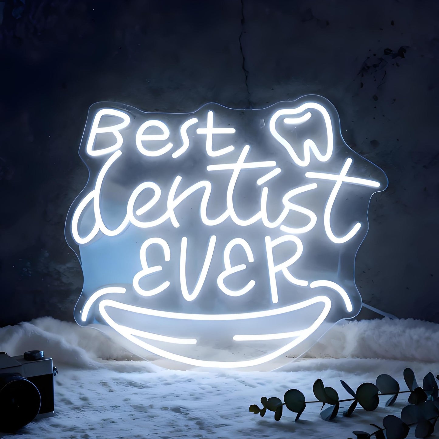 Best Dentist Ever Neon Sign, Dental Office Clinic Dentist Room Home Gift Wall Table Decor, USB Powered Dimmable Decorative Neon Light 15.2 x 13 In