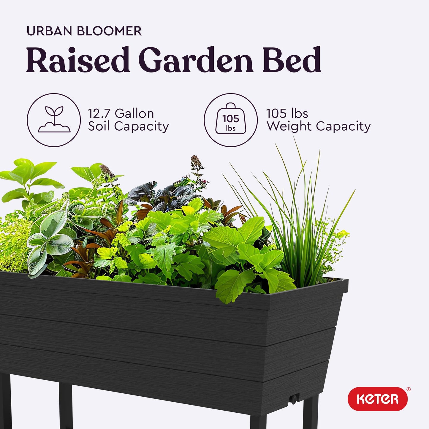 Keter Urban Bloomer 12.7 Gallon Raised Garden Bed and Outdoor Herb Garden Planter with Self Watering Gauge and Drainage Plug, Dark Grey