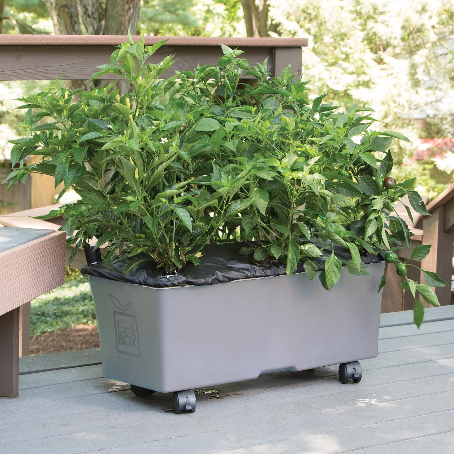 EarthBox Raised Garden Bed with Legs – Elevated Self Watering Planter Box with Wheels, Storage Shelf, Premium Plant Food, Easy Assembly, Made in USA, Gray