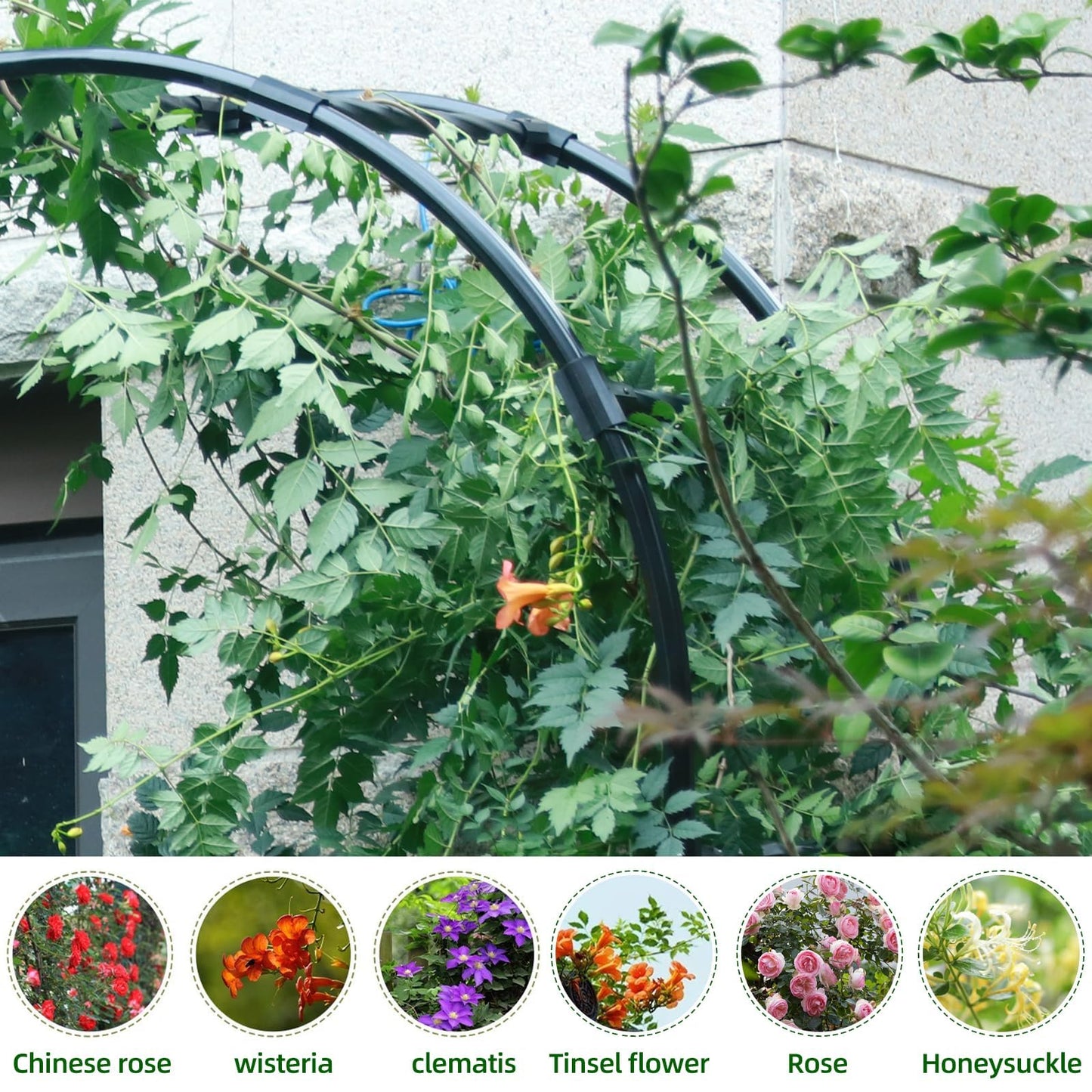 BUKLIYN Half Sided Arch Against The Wall Garden Arch Trellis - Garden Arch Arbor Trellis for Climbing Plants Outdoor - Garden Arch Trellis Arbor for Home Yard and Garden（Black）