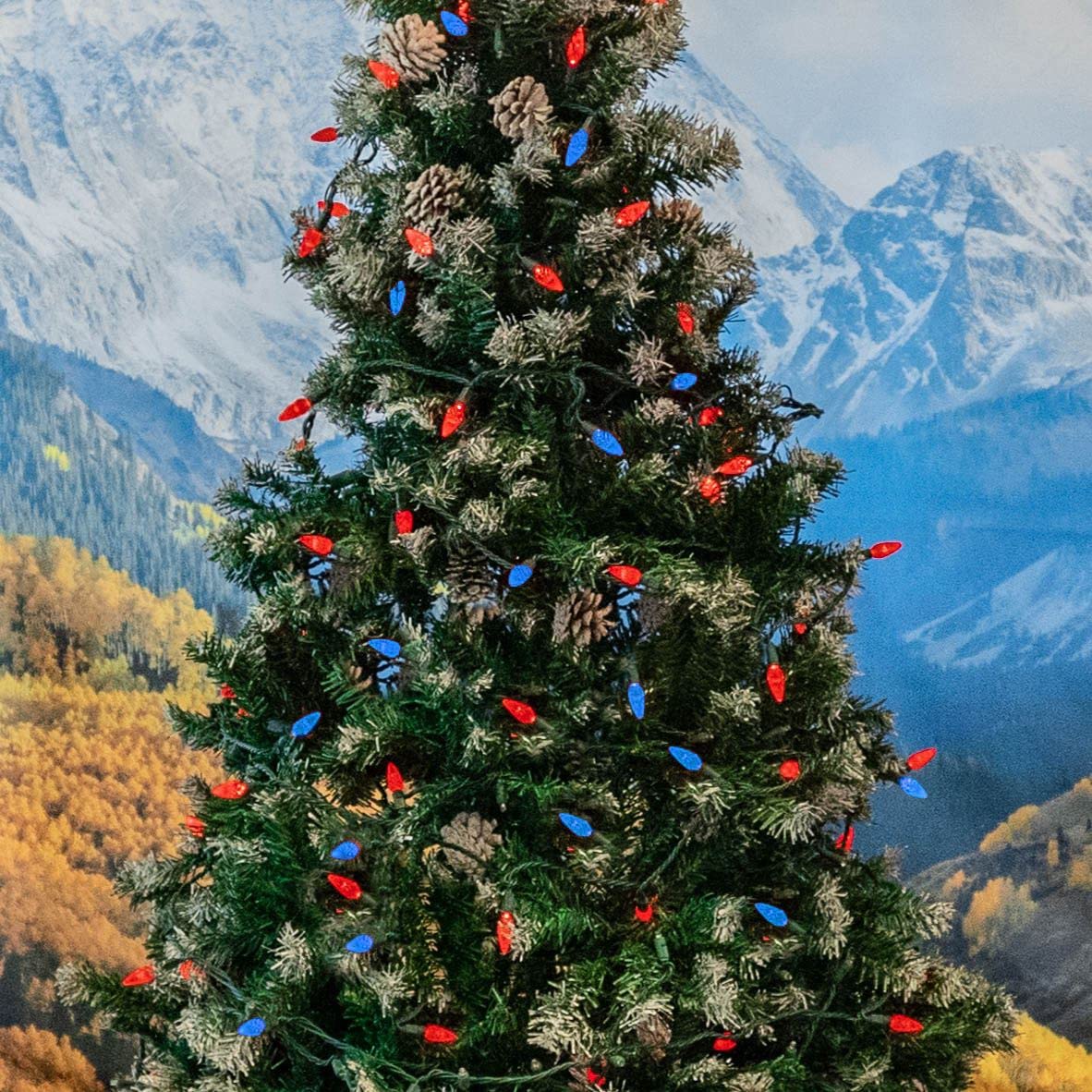 Novelty Lights 24FT 70 LED C6 LED Christmas String Lights, Outdoor Christmas Tree Commercial Grade LED String Lights, Permanent Christmas Lights Outdoor Tree Decorations Outdoor (Red/Blue)