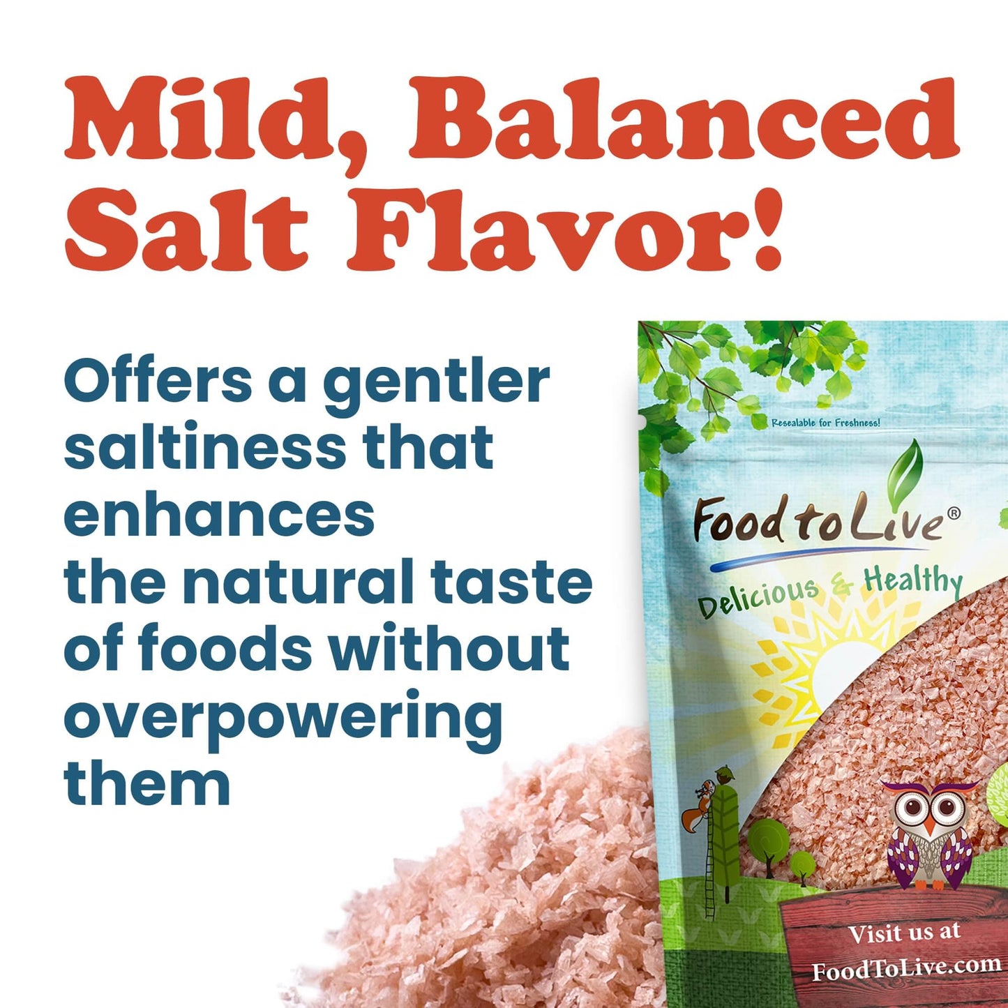 Food to Live - Himalayan Pink Salt Flakes, 1.5 Pounds – Flaky Salt Crystals, Pure, No Additives, Vegan, Kosher, Bulk. Gourmet Salt. Perfect to Use as a Finishing Salt. Not Suitable for Grinders