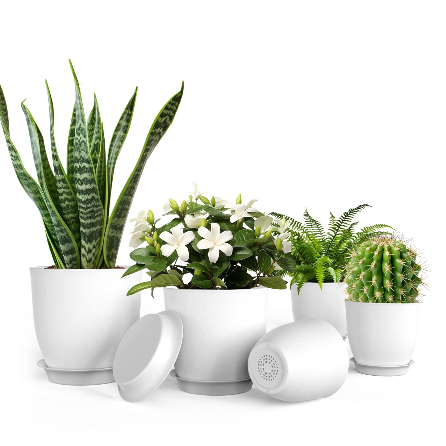 iPower Plant Pots with Drainage-5Pcs Home Decor Flower Pots for Indoor Planter, Plastic Planters, Cactus, Succulents, Herbs and Flower Pot, White, 5 Count (Pack of 1) New
