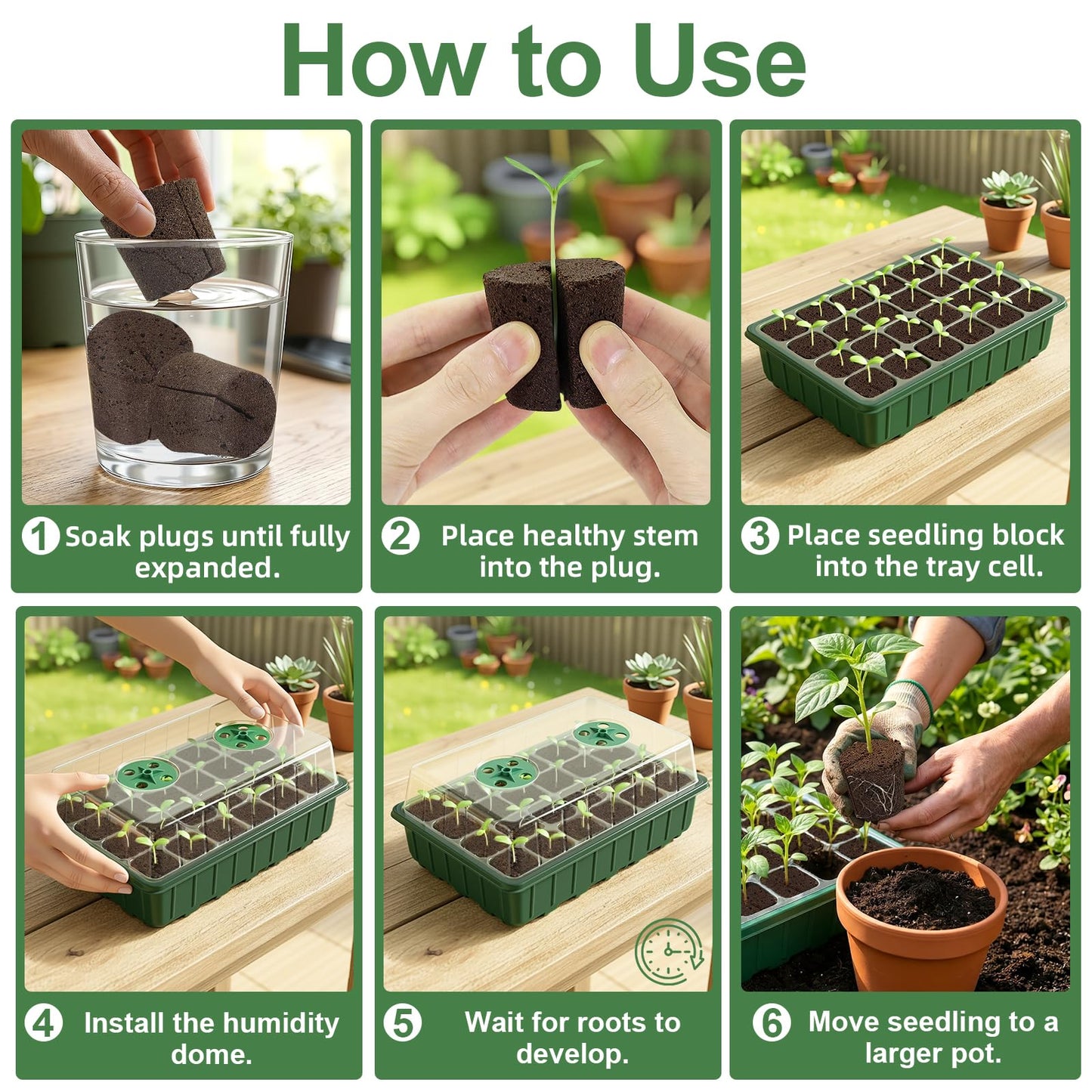 Grow Sponges with Tray, 24 Pack Seed Starter Pods & Starter Plugs for Cuttings, Hydroponic Grow Sponges for Seed Starting, Plant Plugs for Herbs Vegetables Flowers, Easy Transplant Rooter Pods