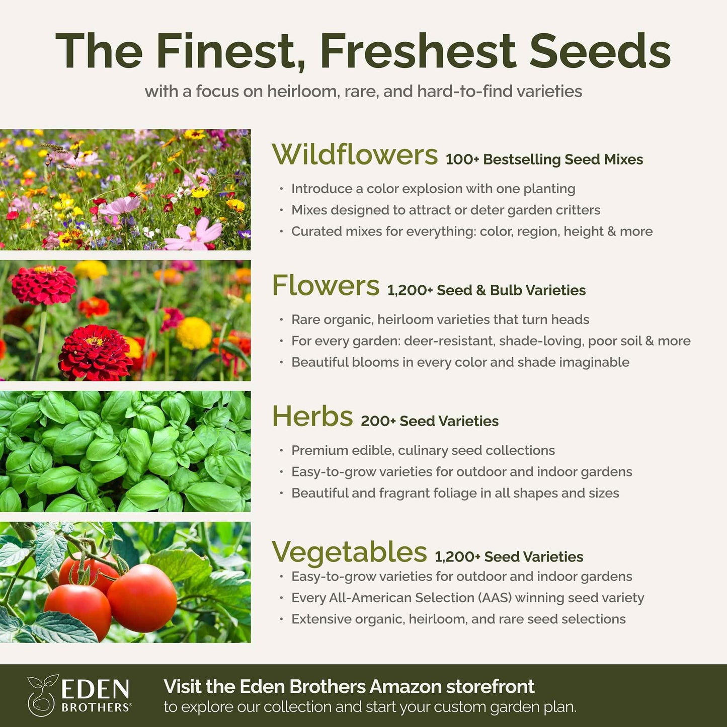 Eden Brothers Southeast Wildflower Mixed Seeds for Planting, 1 lb, 480,000+ Seeds with Cornflower, Blanket Flower | Attracts Pollinators, Plant in Spring or Fall, Zones 3, 4, 5, 6, 7, 8, 9, 10